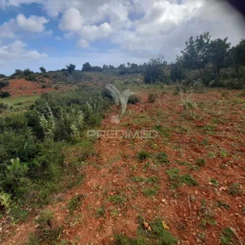 4 terrenos rústicos  alecrineira-cerro azul