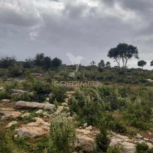 4 terrenos rústicos  alecrineira-cerro azul