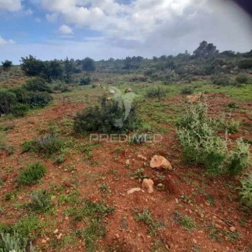 4 terrenos rústicos  alecrineira-cerro azul