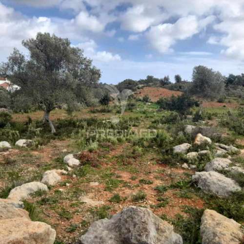 4 terrenos rústicos  alecrineira-cerro azul