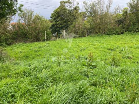 Terreno rústico, norte grande
