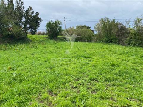 Terreno rústico, norte grande