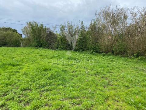 Terreno rústico, norte grande