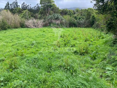 Terreno rústico, norte grande