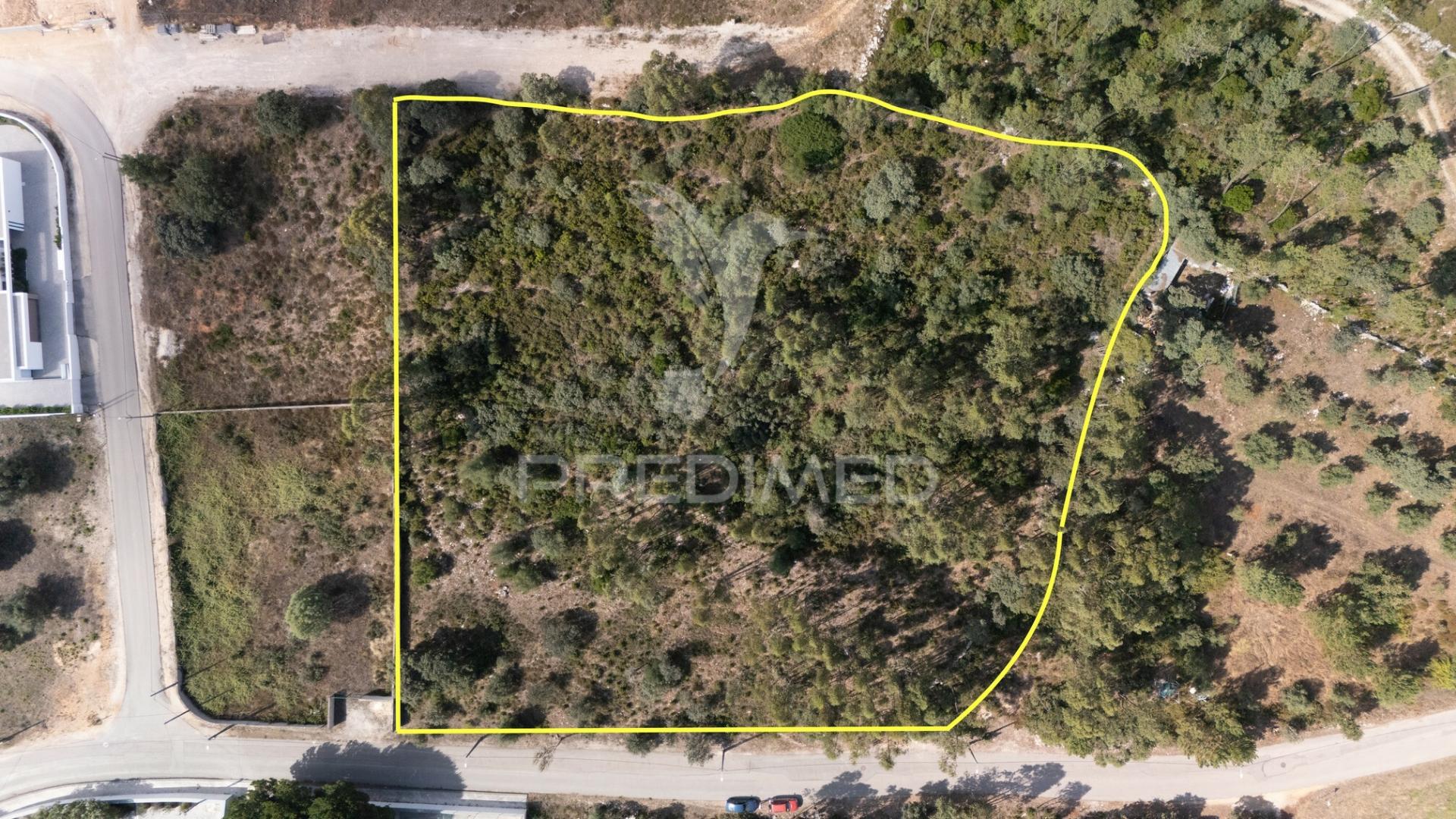 Terreno c/ 8274m2, moimento, fátima