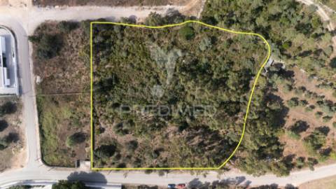 Terreno c/ 8274m2, moimento, fátima