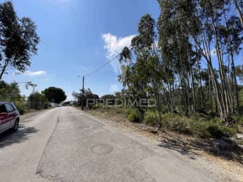 Terreno c/ 8274m2, moimento, fátima