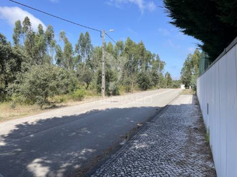 Terreno c/ 8274m2, moimento, fátima