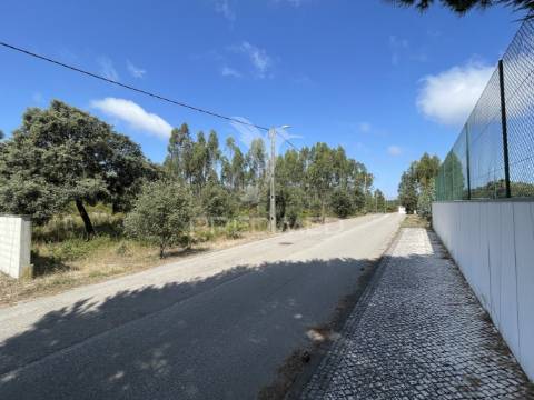 Terreno c/ 8274m2, moimento, fátima