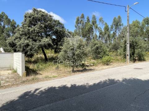 Terreno c/ 8274m2, moimento, fátima