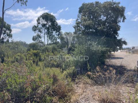 Terreno c/ 8274m2, moimento, fátima