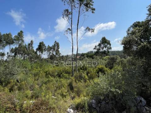 Terreno c/ 8274m2, moimento, fátima