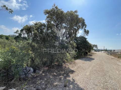 Terreno c/ 8274m2, moimento, fátima