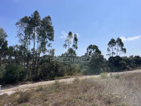 Terreno c/ 8274m2, moimento, fátima