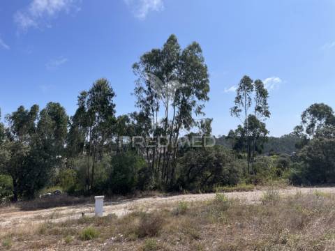 Terreno c/ 8274m2, moimento, fátima