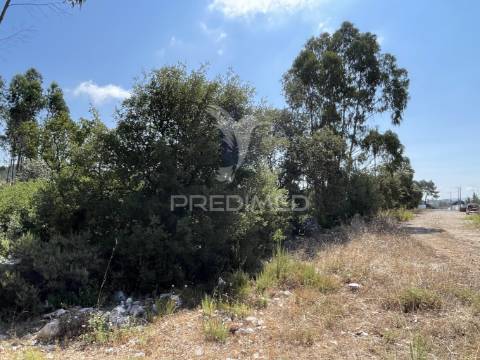 Terreno c/ 8274m2, moimento, fátima