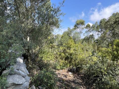 Terreno c/ 8274m2, moimento, fátima