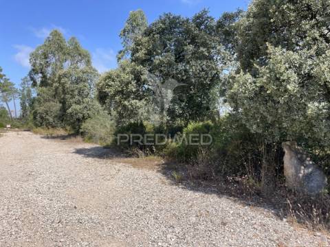 Terreno c/ 8274m2, moimento, fátima