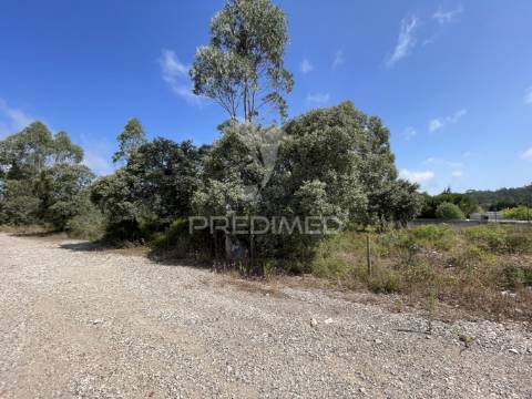Terreno c/ 8274m2, moimento, fátima