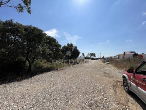 Terreno c/ 8274m2, moimento, fátima