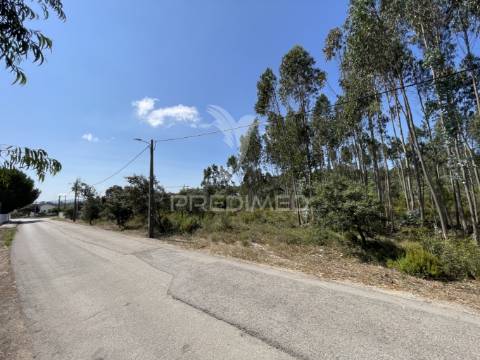 Terreno c/ 8274m2, moimento, fátima