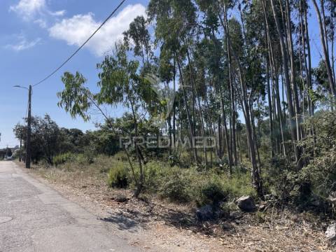 Terreno c/ 8274m2, moimento, fátima