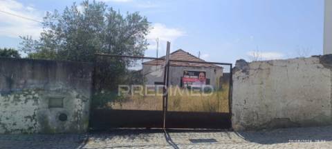 Armazém em ribeira do pardo/ santana/ nisa