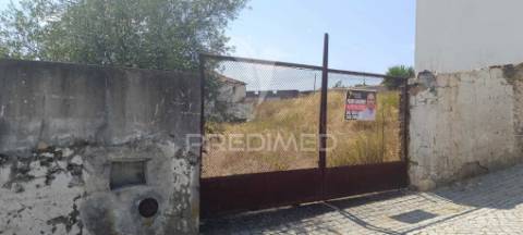 Armazém em ribeira do pardo/ santana/ nisa