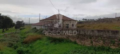 Armazém em ribeira do pardo/ santana/ nisa