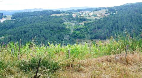 Terreno para construção em abaças - vila real