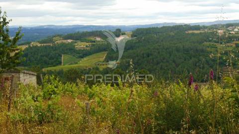 Terreno para construção em abaças - vila real