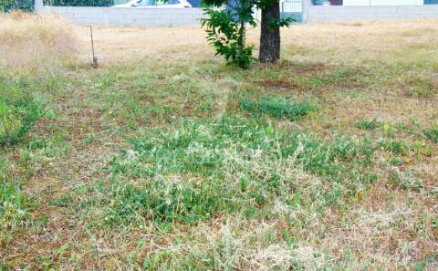 Terreno para construção em abaças - vila real