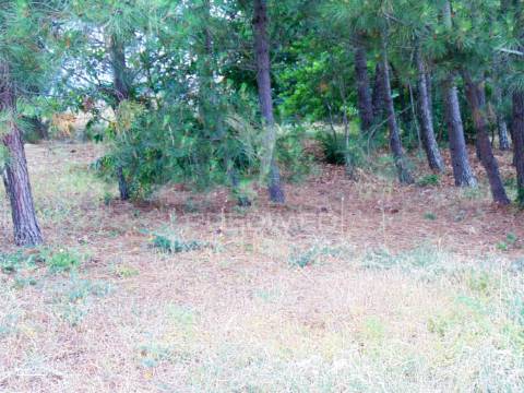 Terreno para construção em abaças - vila real