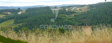 Terreno para construção em abaças - vila real