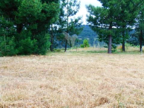 Terreno para construção em abaças - vila real