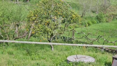 Quintinha bi-familiar