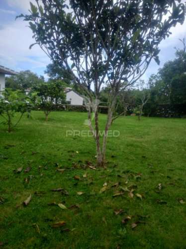 Moradia t3 na terra-chã