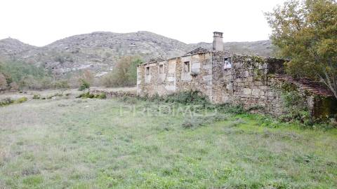 Quinta para reabilitar em fuinhas, fornos de algodres