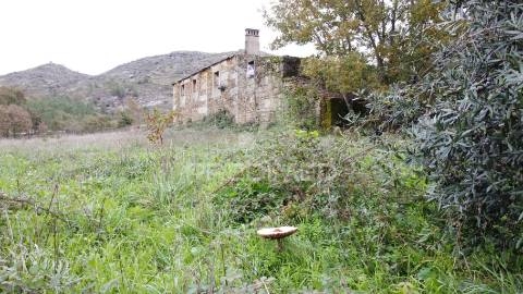 Quinta para reabilitar em fuinhas, fornos de algodres