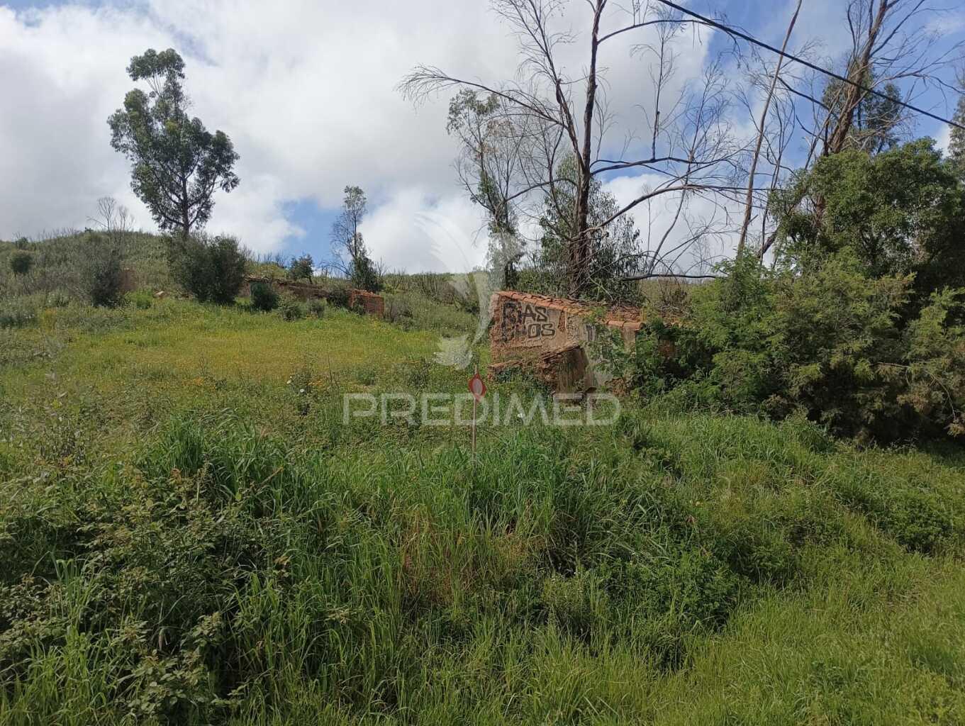 Terreno com ruina tojeiro