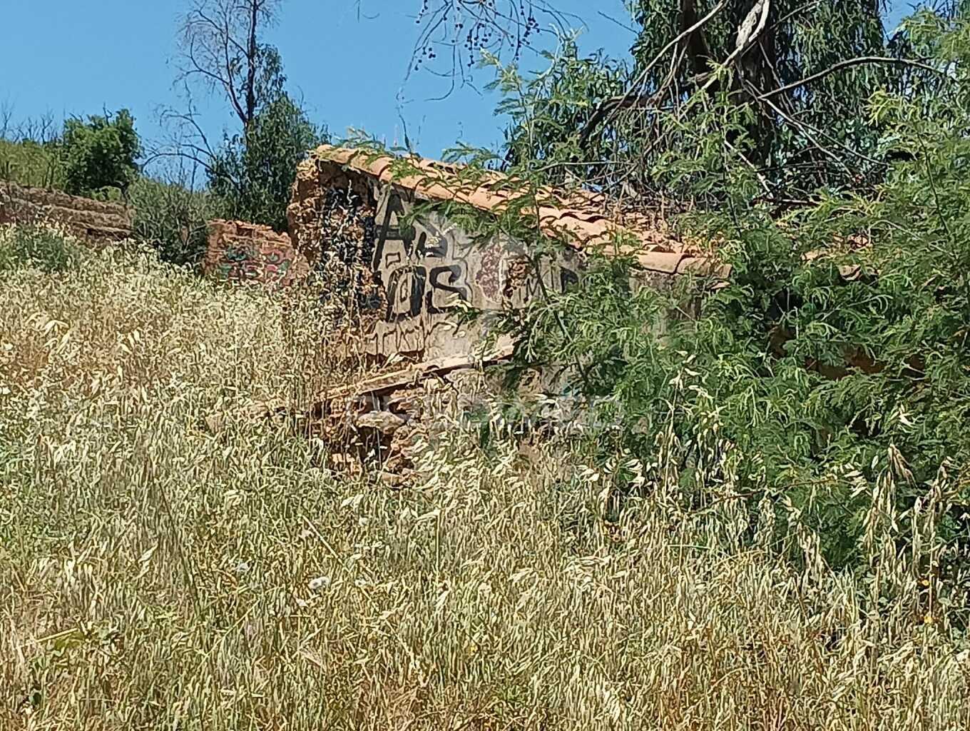 Terreno com ruina tojeiro