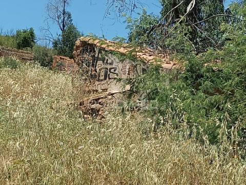 Terreno com ruina tojeiro