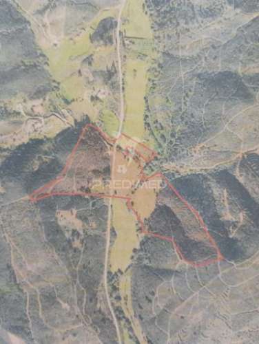 Terreno com ruina tojeiro