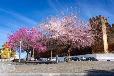 Espaço comercial na praça da república