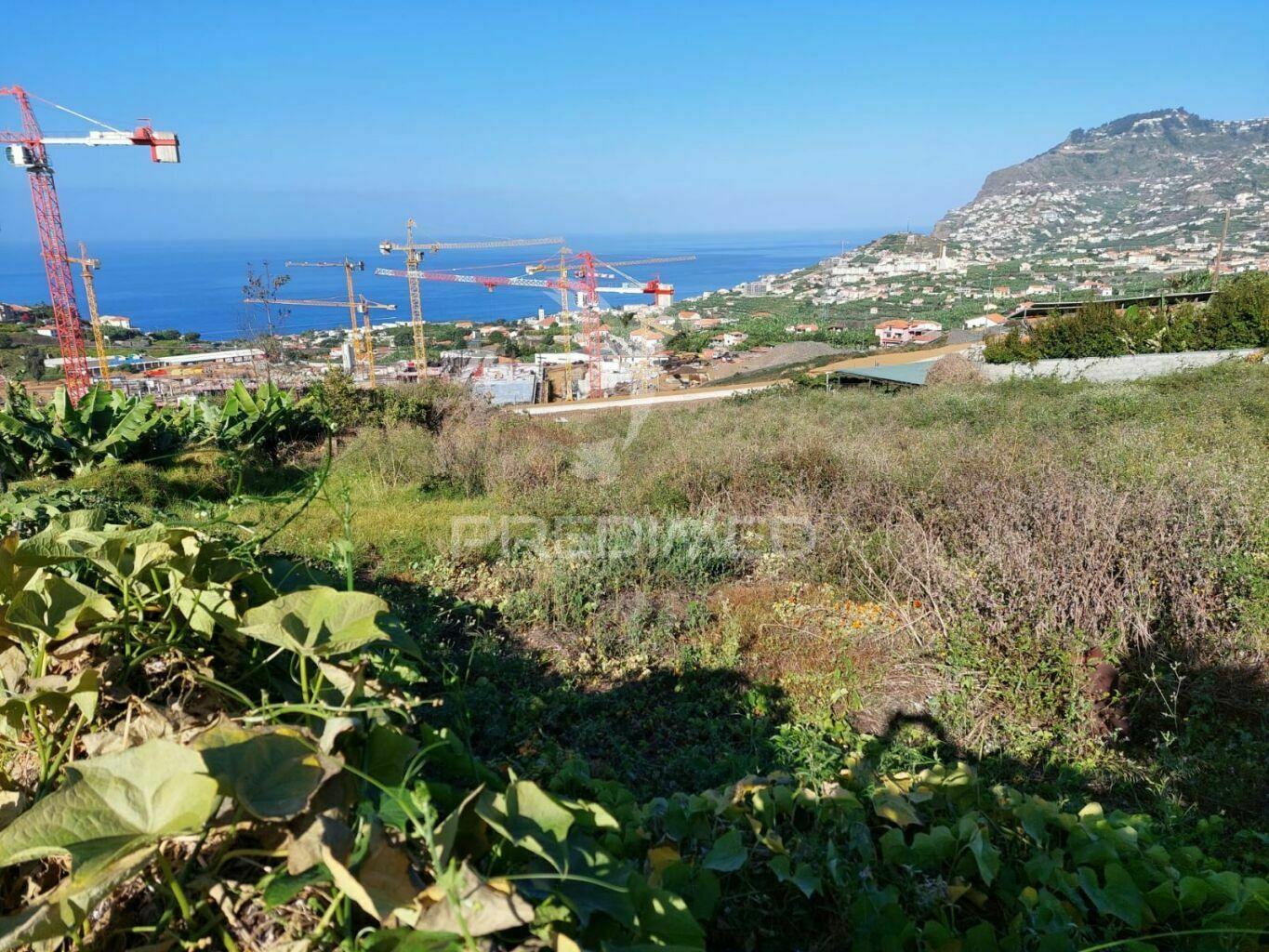 Terreno no pico do funcho, são martinho funchal