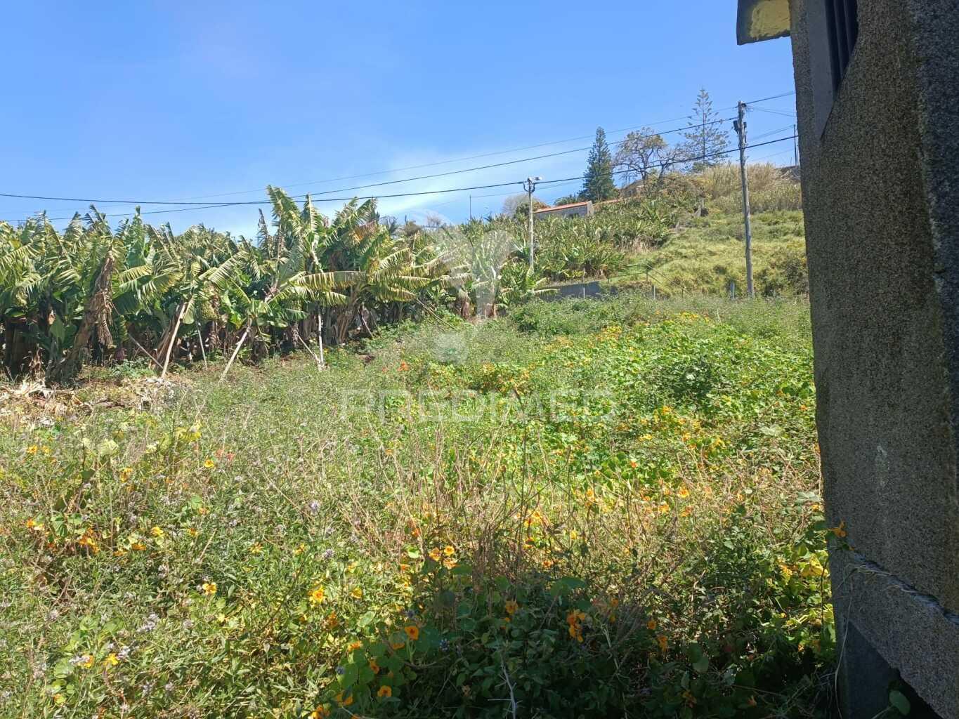 Terreno no pico do funcho, são martinho funchal