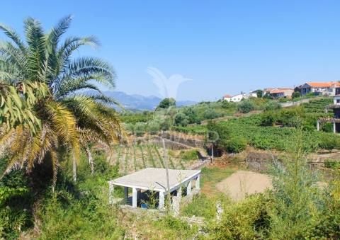 Casa centenária no alto douro vinhateiro
