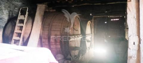 Casa centenária no alto douro vinhateiro