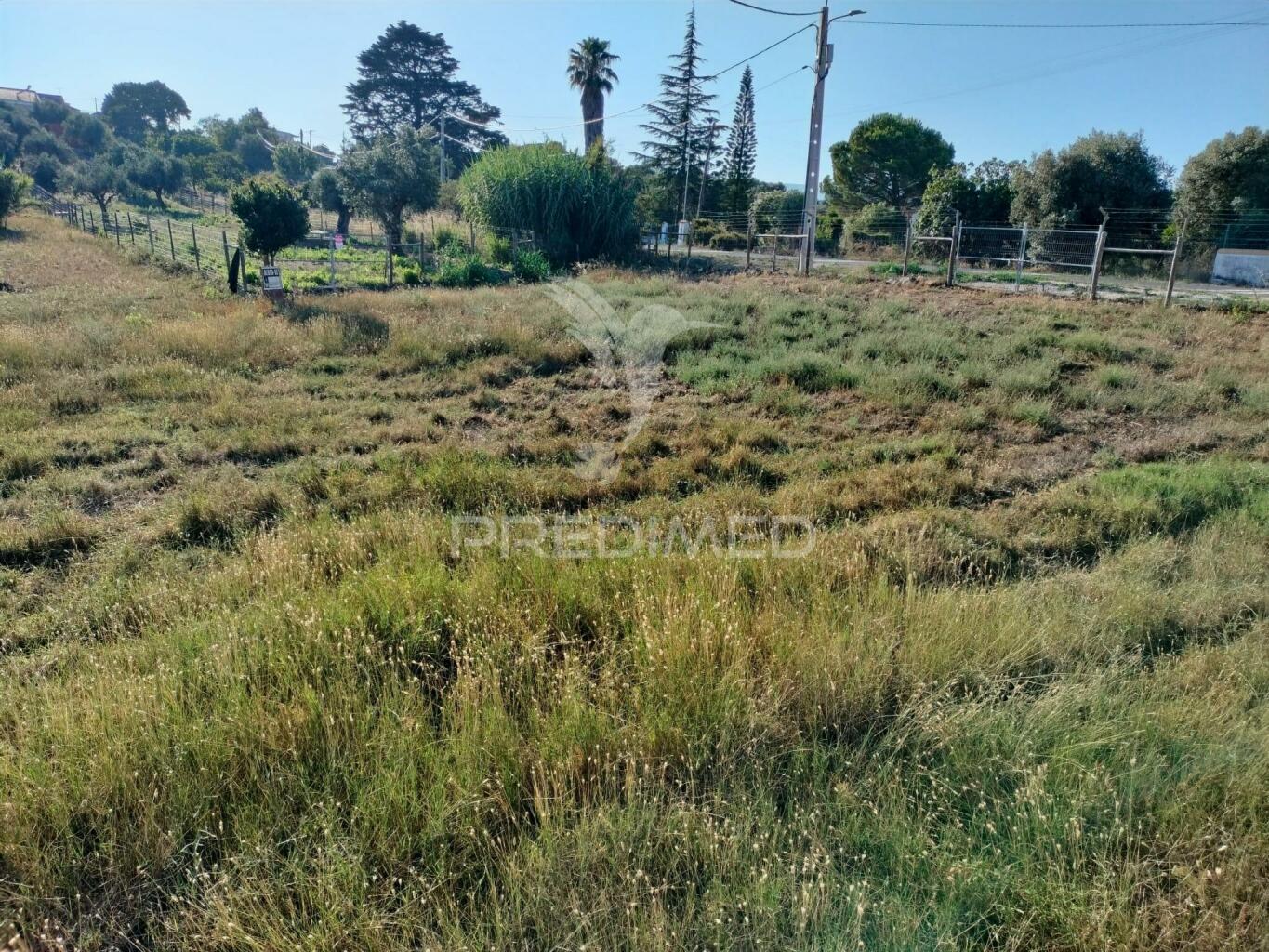 Terreno urbano na entrada principal de torres novas