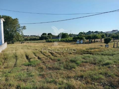 Terreno urbano na entrada principal de torres novas